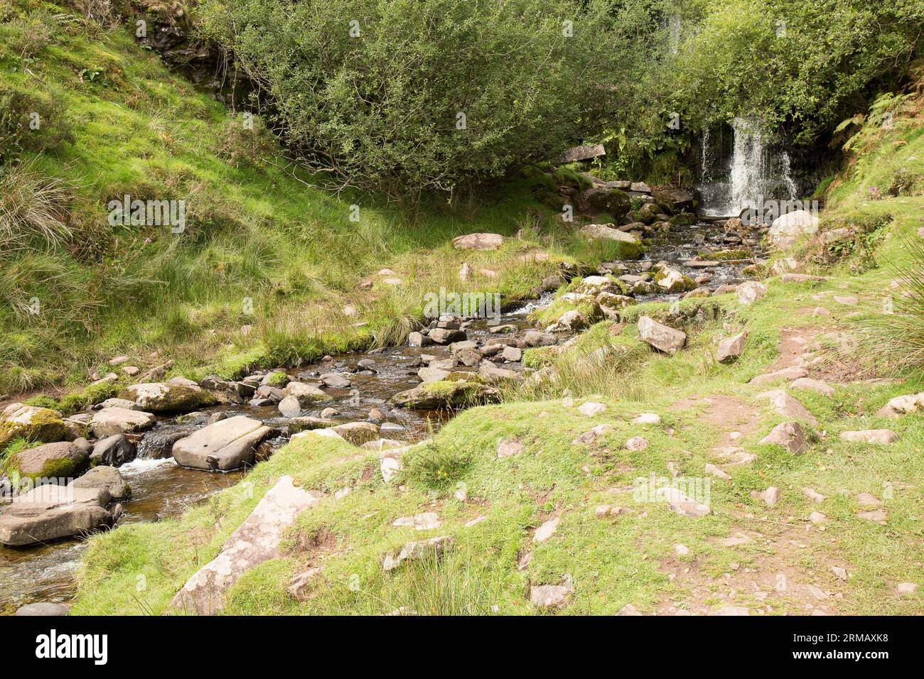 Cascate di Blaen-y-glyn Brecon Beacons Bannau Brycheiniog Galles Foto Stock