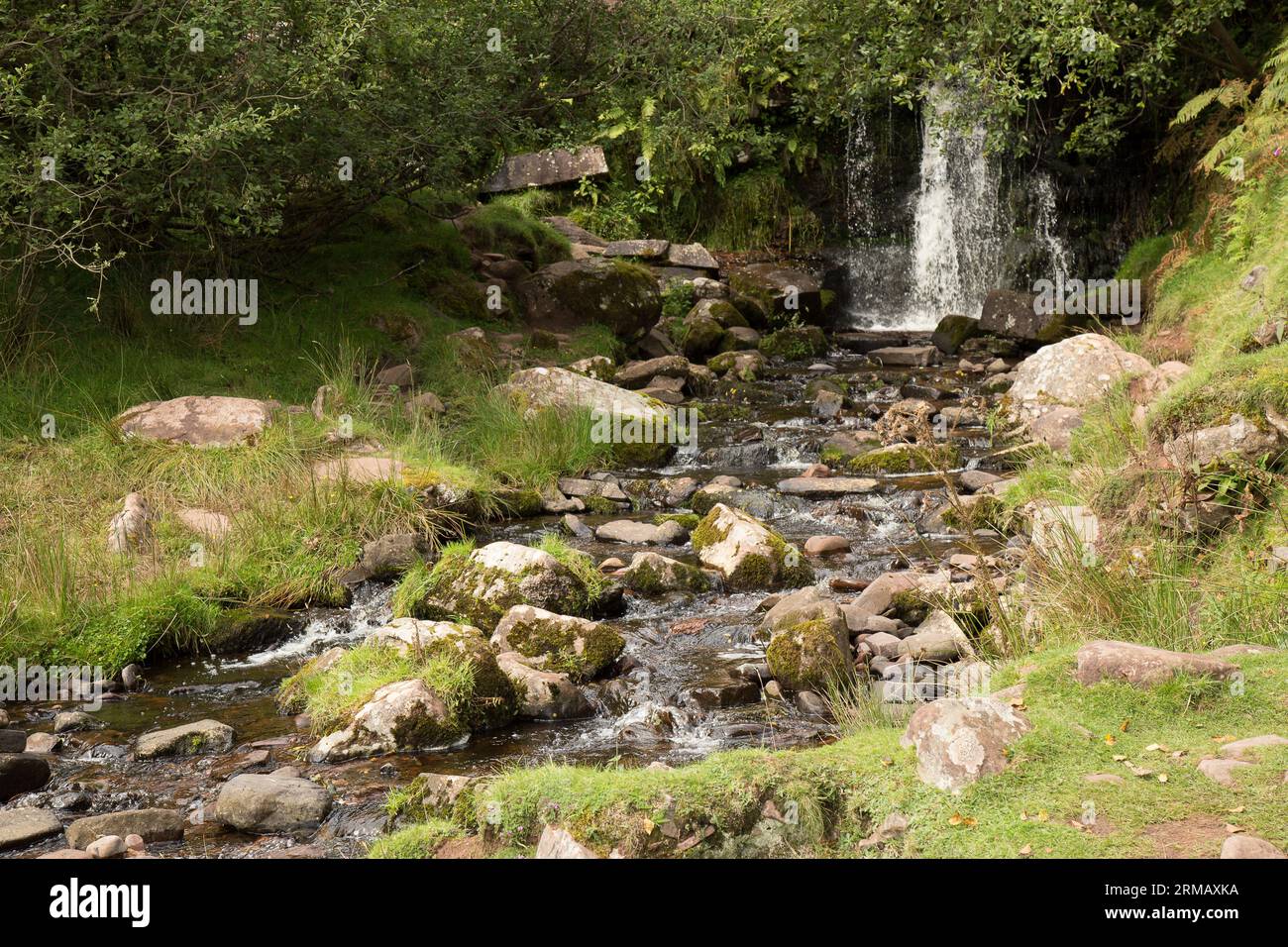 Cascate di Blaen-y-glyn Brecon Beacons Bannau Brycheiniog Galles Foto Stock