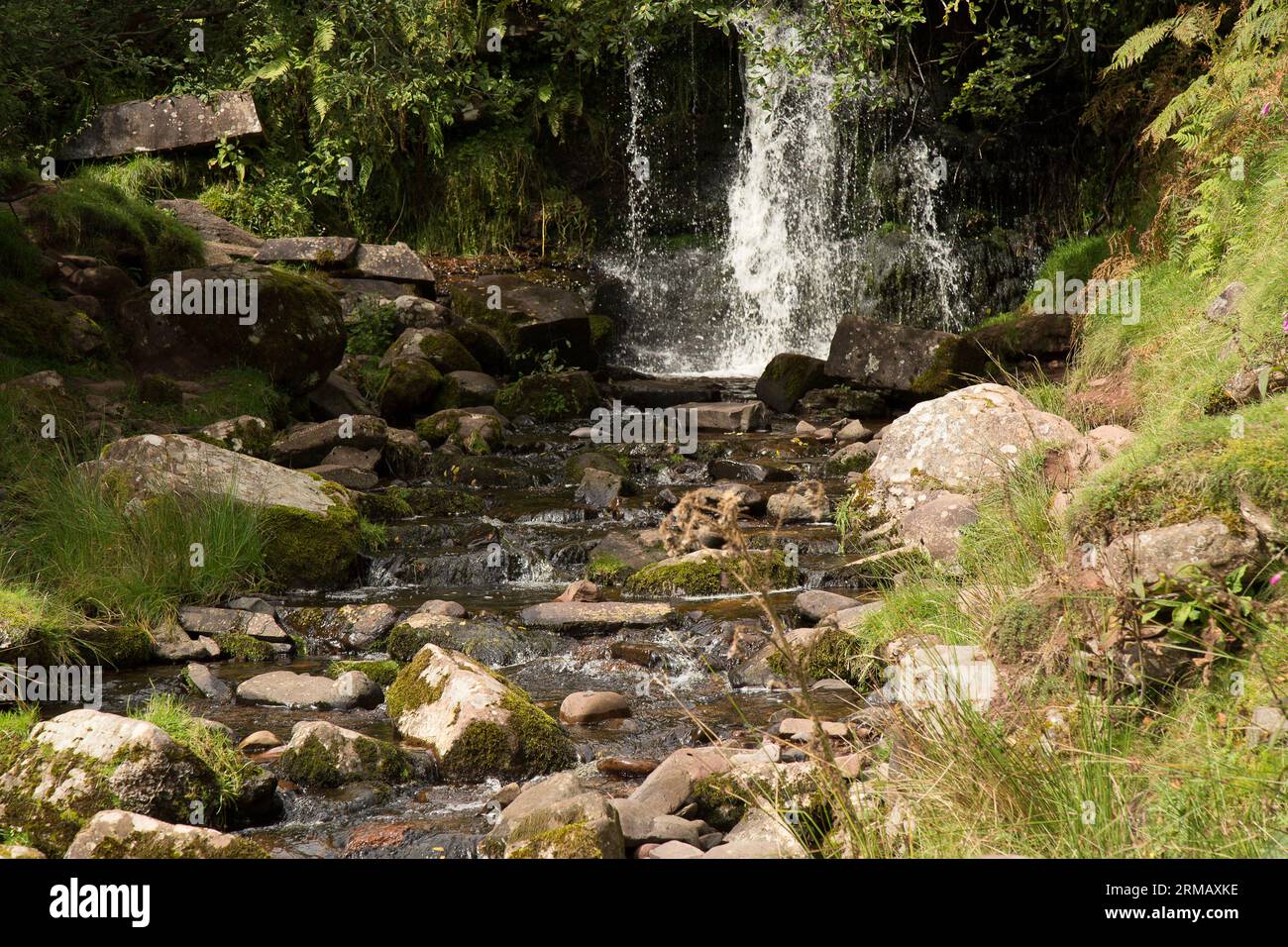 Cascate di Blaen-y-glyn Brecon Beacons Bannau Brycheiniog Galles Foto Stock