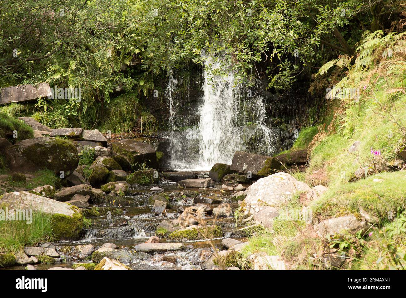 Cascate di Blaen-y-glyn Brecon Beacons Bannau Brycheiniog Galles Foto Stock