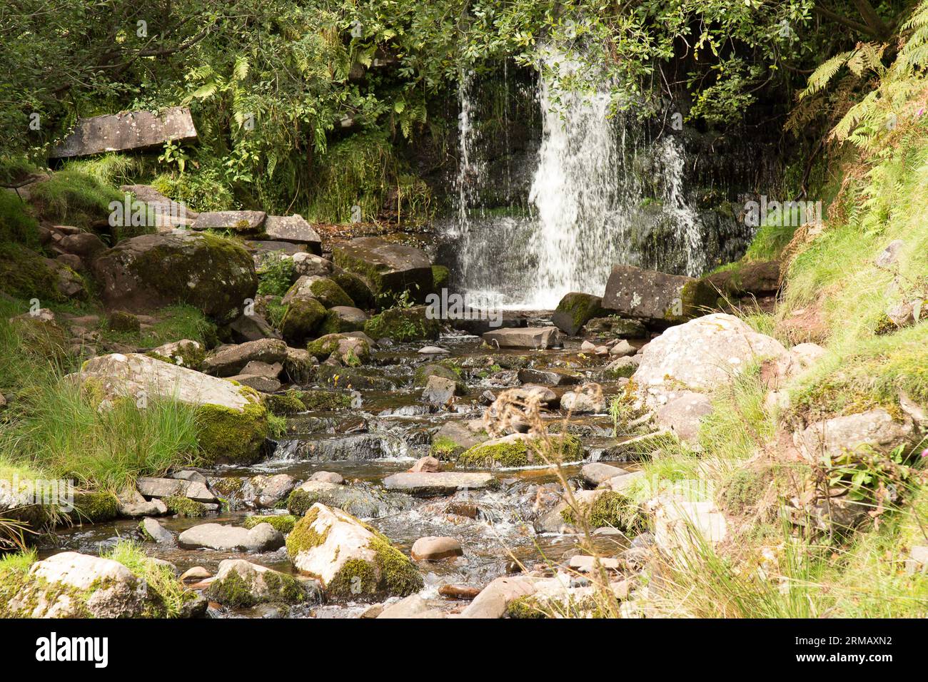 Cascate di Blaen-y-glyn Brecon Beacons Bannau Brycheiniog Galles Foto Stock
