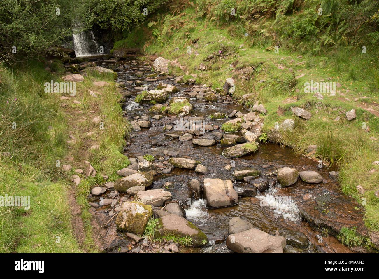 Cascate di Blaen-y-glyn Brecon Beacons Bannau Brycheiniog Galles Foto Stock