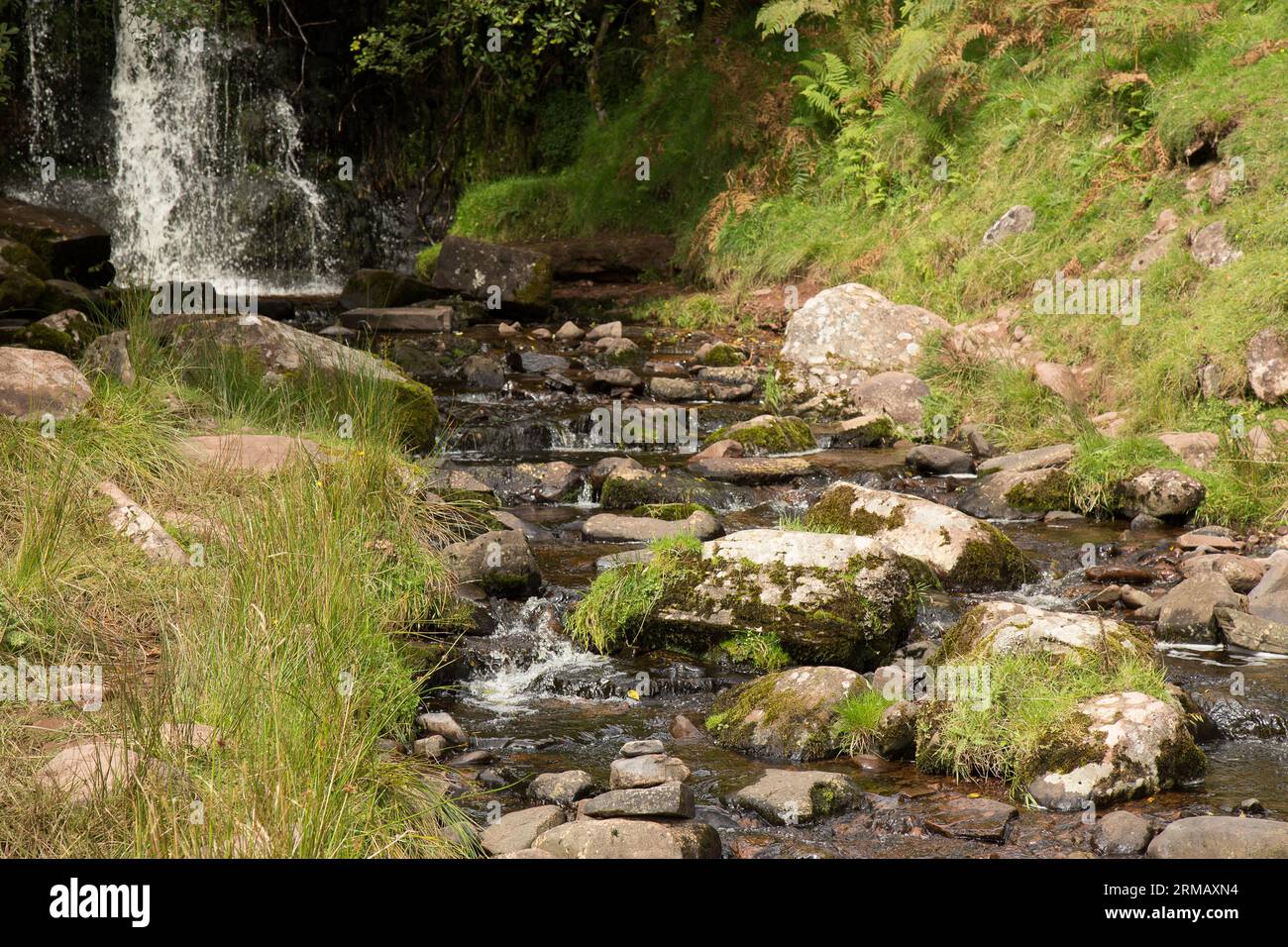 Cascate di Blaen-y-glyn Brecon Beacons Bannau Brycheiniog Galles Foto Stock