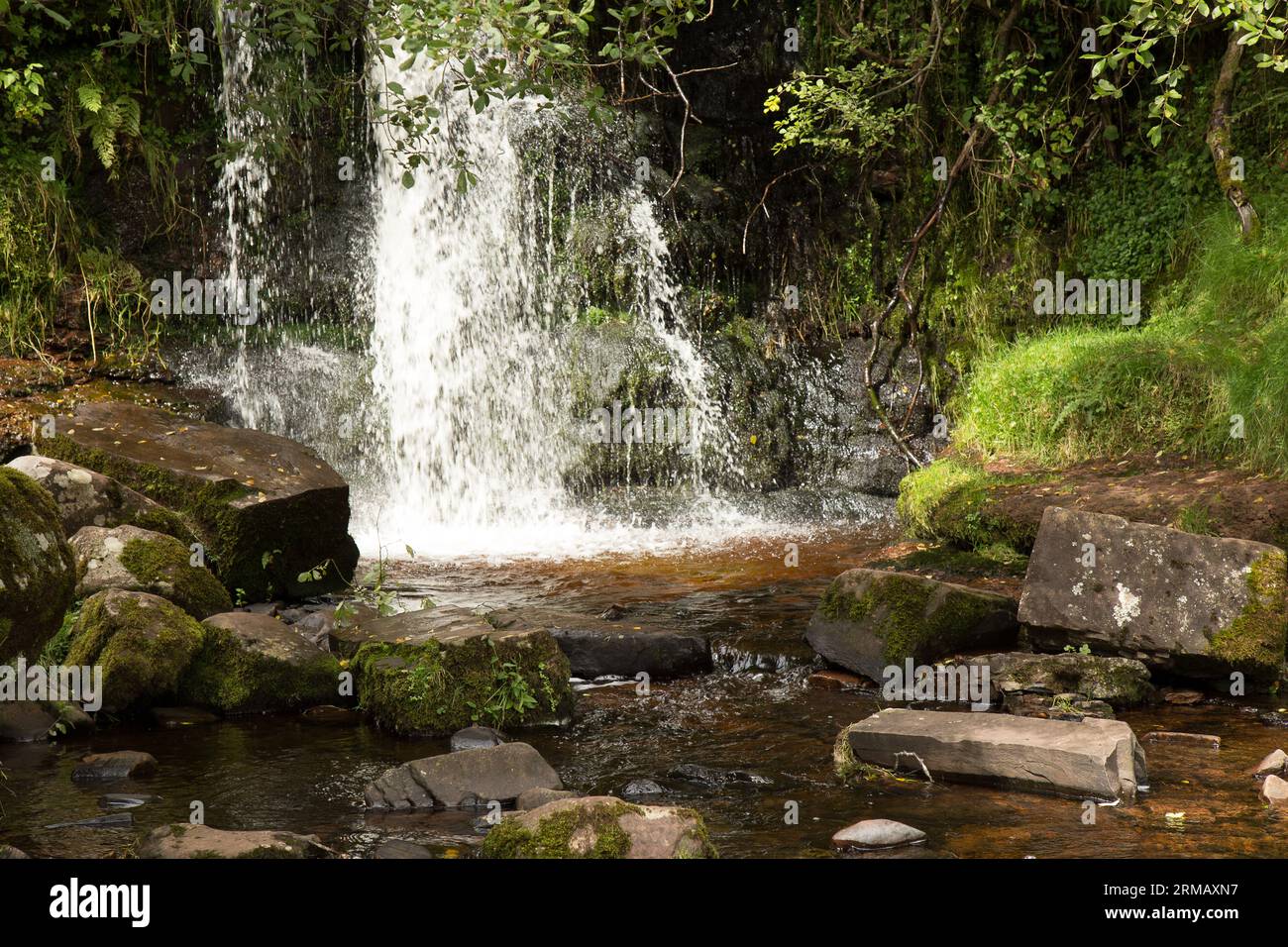 Cascate di Blaen-y-glyn Brecon Beacons Bannau Brycheiniog Galles Foto Stock