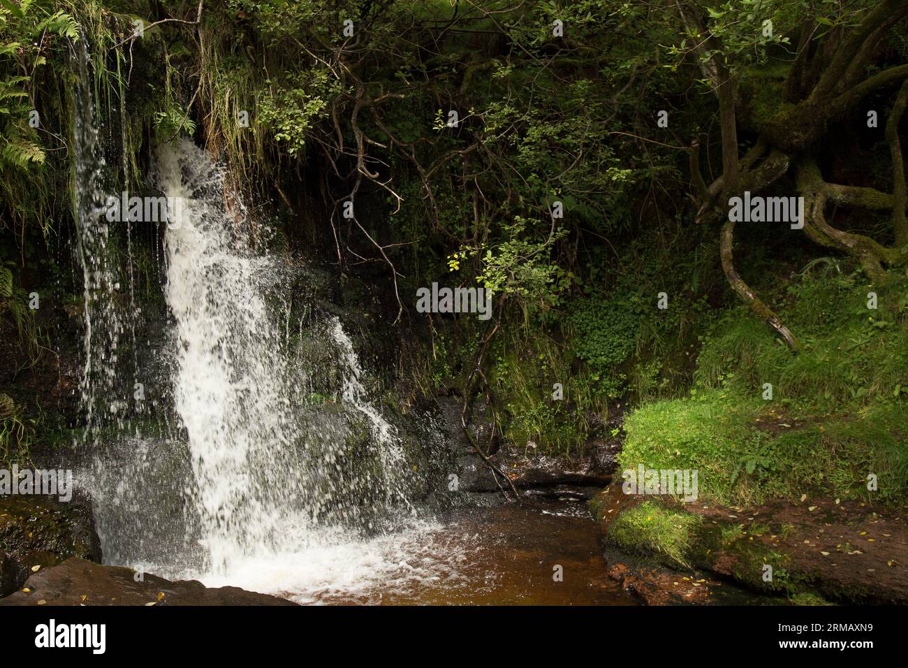 Cascate di Blaen-y-glyn Brecon Beacons Bannau Brycheiniog Galles Foto Stock