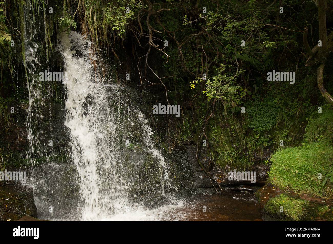 Cascate di Blaen-y-glyn Brecon Beacons Bannau Brycheiniog Galles Foto Stock