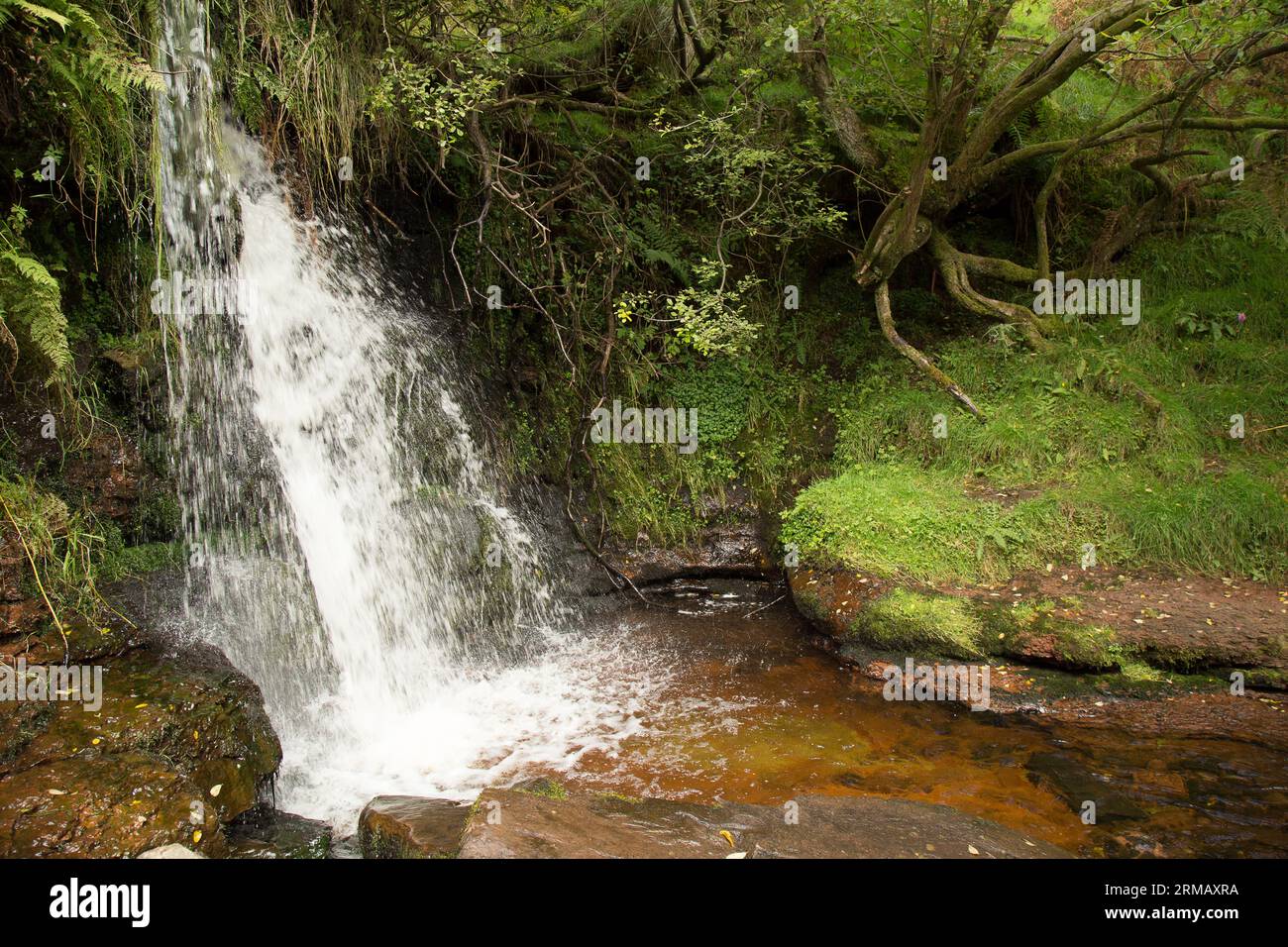 Cascate di Blaen-y-glyn Brecon Beacons Bannau Brycheiniog Galles Foto Stock
