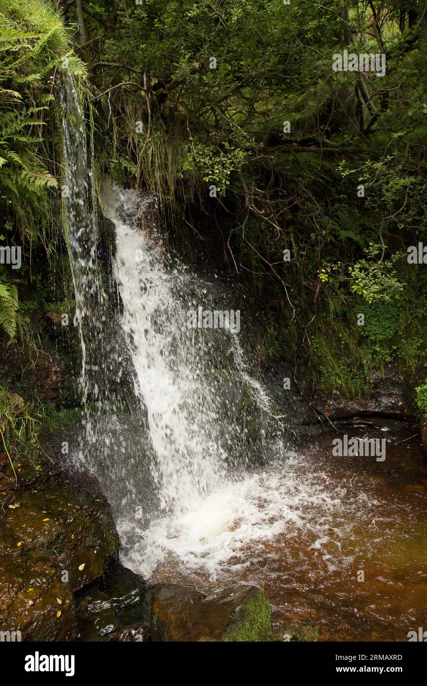 Cascate di Blaen-y-glyn Brecon Beacons Bannau Brycheiniog Galles Foto Stock