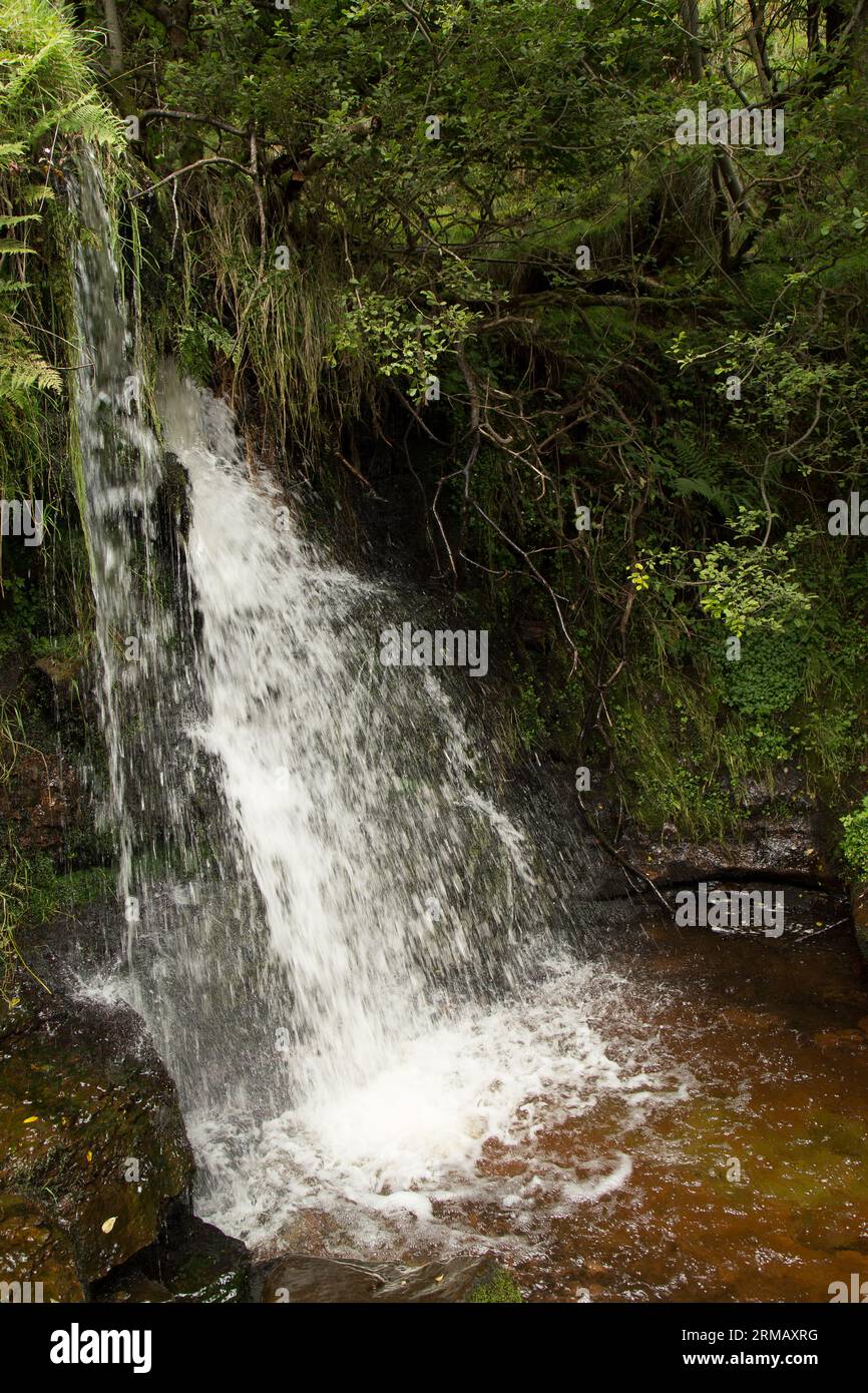 Cascate di Blaen-y-glyn Brecon Beacons Bannau Brycheiniog Galles Foto Stock