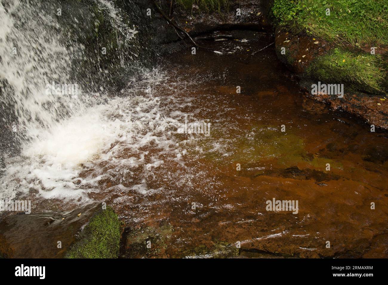 Cascate di Blaen-y-glyn Brecon Beacons Bannau Brycheiniog Galles Foto Stock