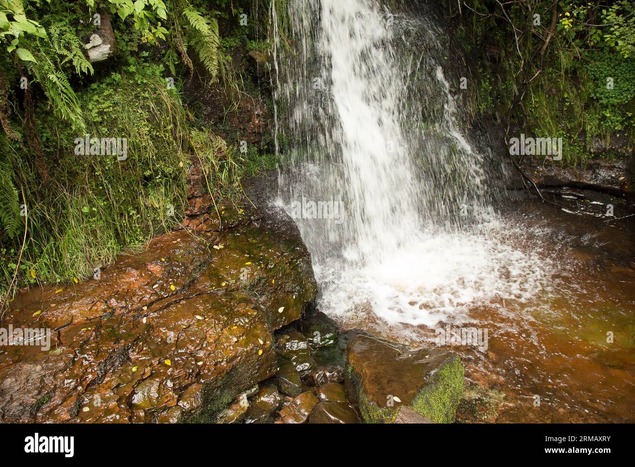Cascate di Blaen-y-glyn Brecon Beacons Bannau Brycheiniog Galles Foto Stock