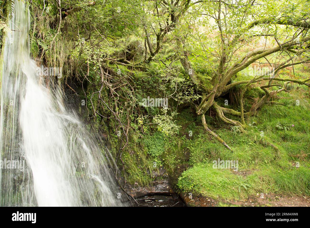 Cascate di Blaen-y-glyn Brecon Beacons Bannau Brycheiniog Galles Foto Stock