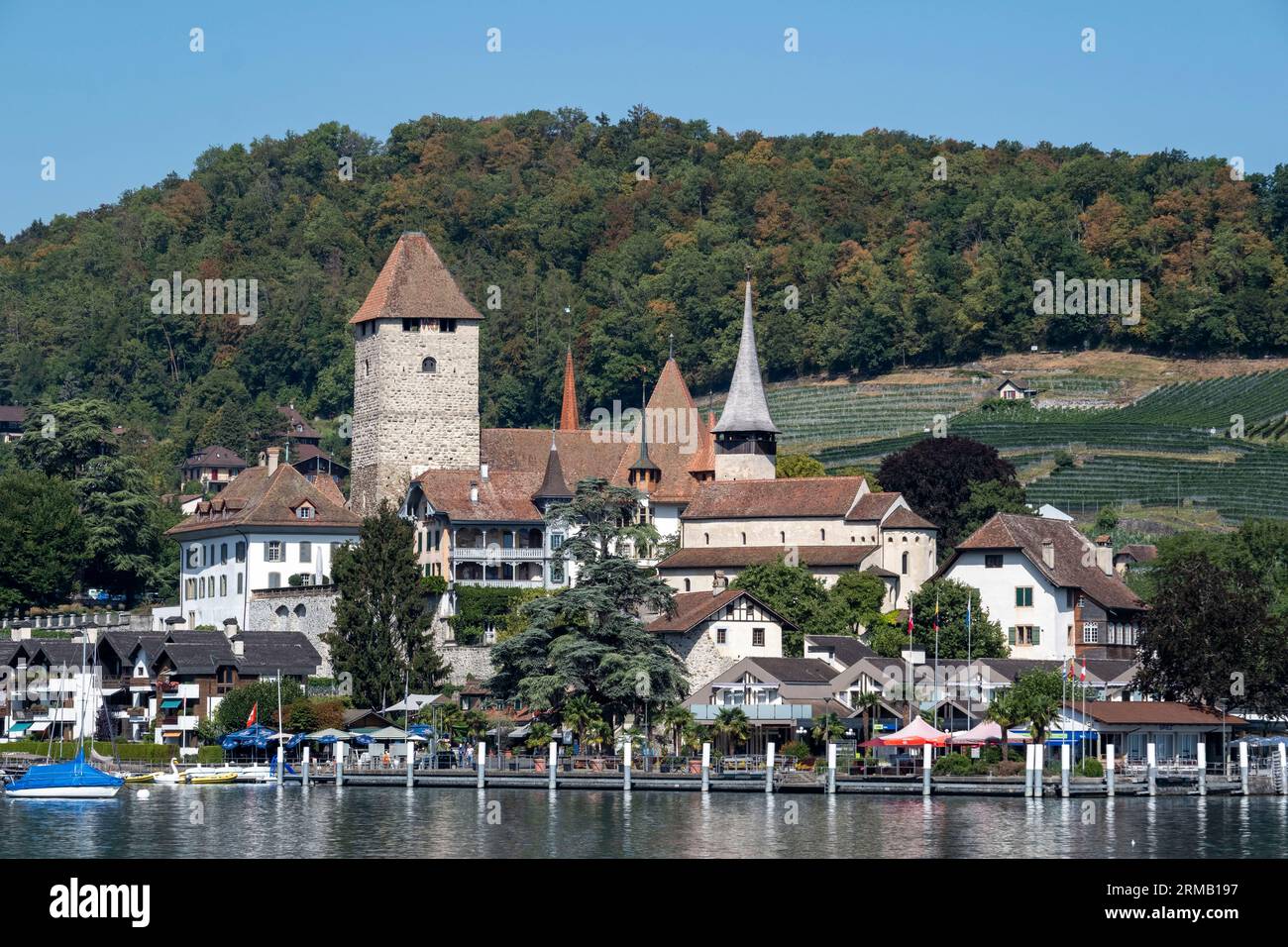 Spiez sulle rive del lago di Thun, Cantone di Berna, Svizzera. Foto Stock