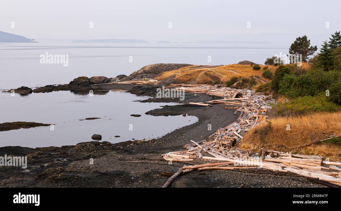 La costa del Brooks Point Regional Park a South Pender Island, British Columbia, Canada. Foto Stock