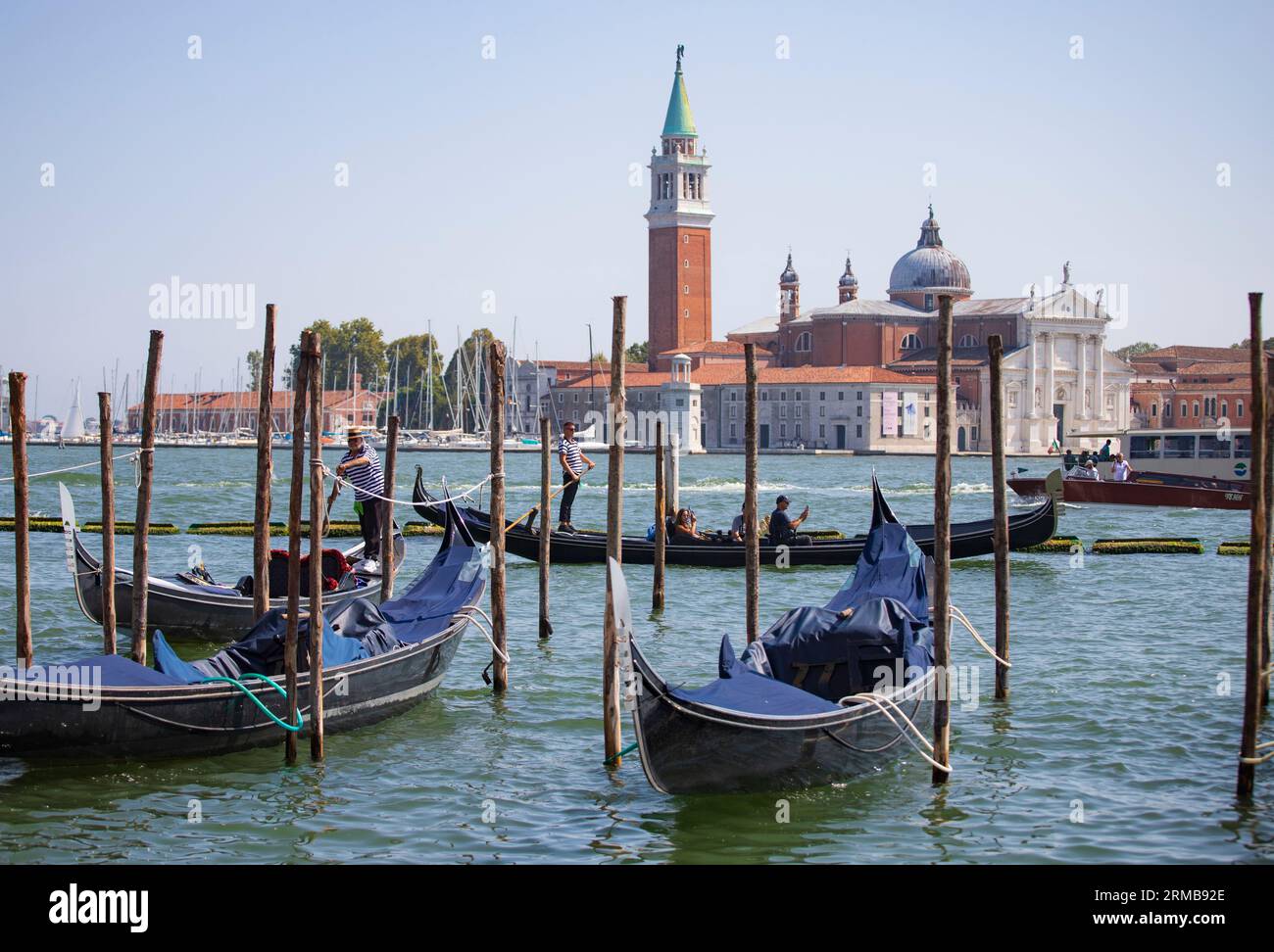 Goldolas sul bacino vicino a piazza San Marcos a Venezia, agosto 2023 Foto Stock
