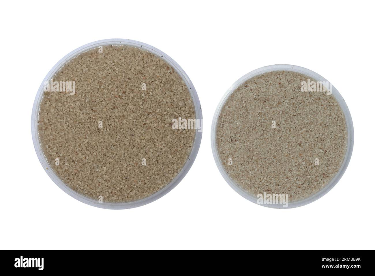 Vista dall'alto dei campioni di sabbia di silice su vassoi piccoli su sfondo bianco isolato Foto Stock