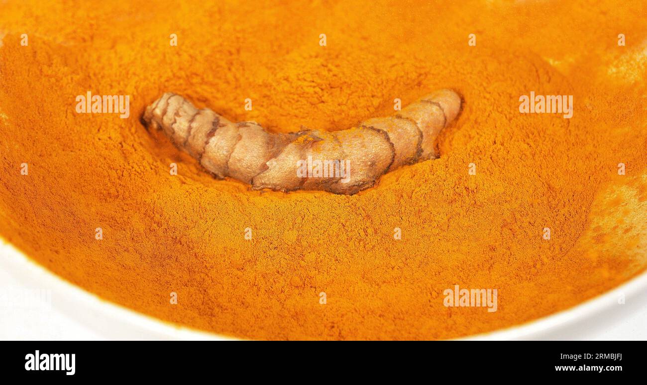 Curcuma, curcuma longa, Root Falling on Curcuma Powder, Indian Spice Foto Stock