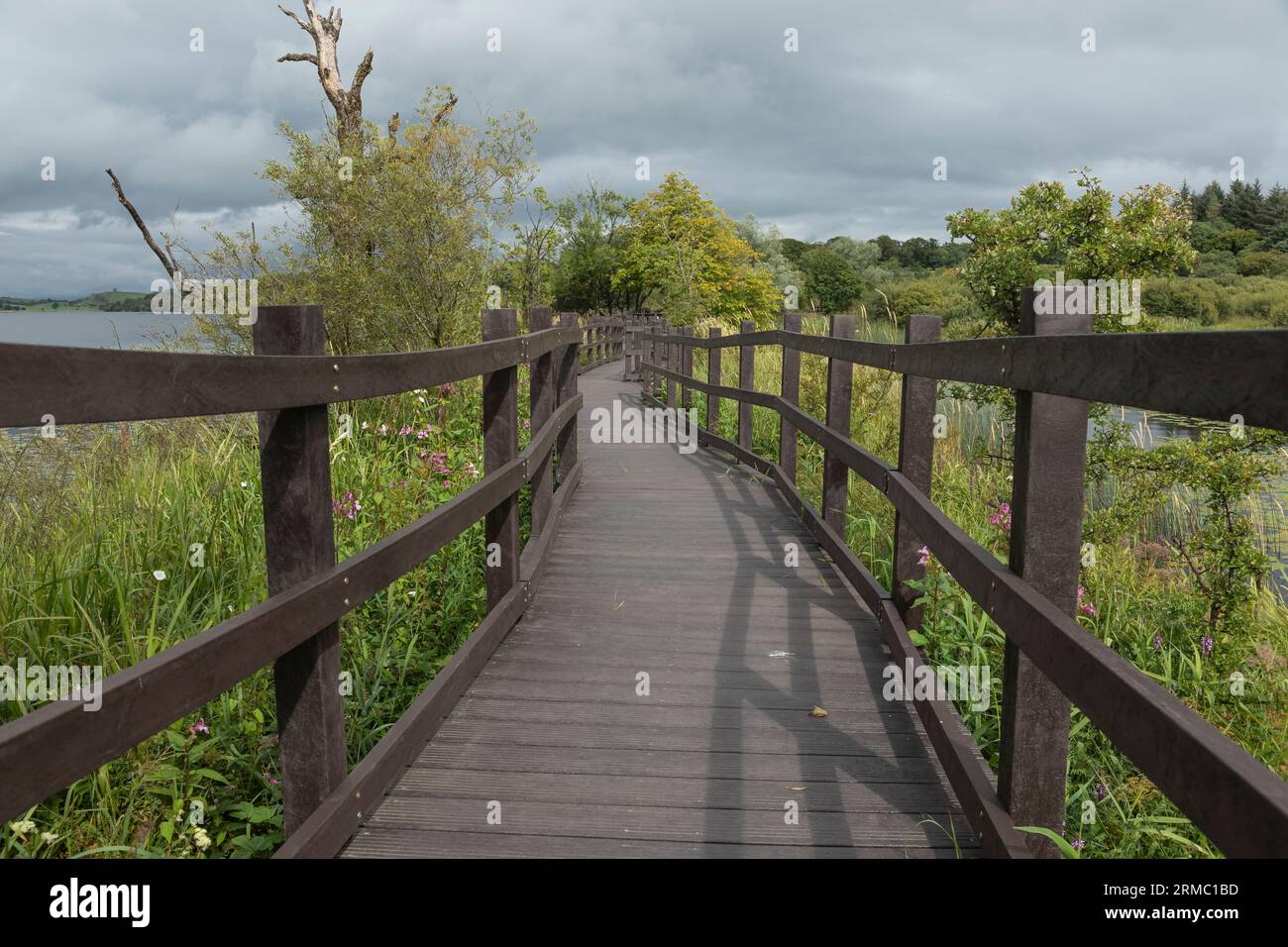 Passeggiata in legno sulle paludi in una giornata tempestosa con la promessa di pioggia Foto Stock Passeggiata in legno sulle paludi in una giornata tempestosa con la promessa di pioggia Foto Stock