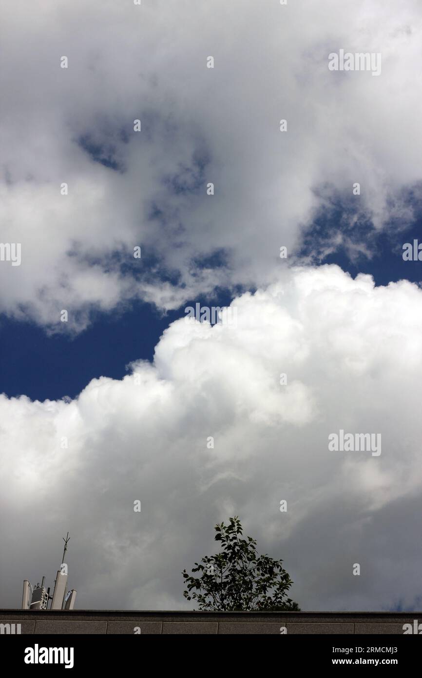 Canna da fulmine e albero sul tetto di un edificio con cielo blu e nuvole scure nella stagione delle piogge Foto Stock