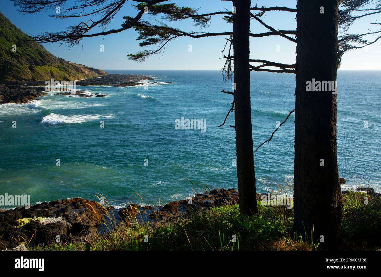 Cape Creek Cove, Cape Perpetua Scenic Area, Siuslaw National Forest, Oregon Foto Stock