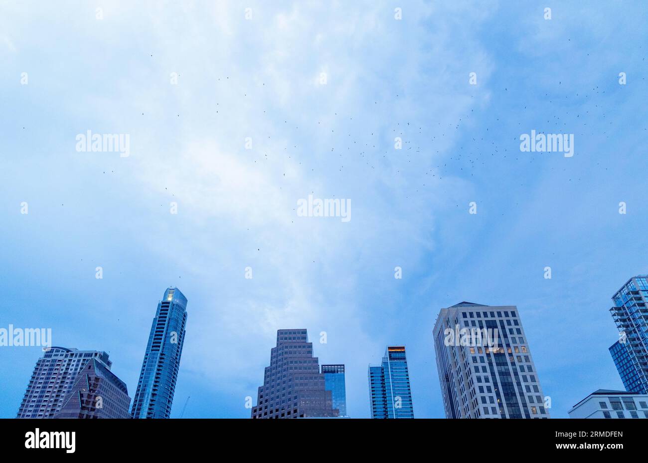 Fila di grattacieli in centro, Austin, Texas, Stati Uniti Foto Stock