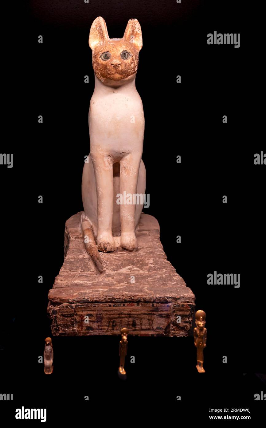 Parigi, Francia - 08 22 2023: Ramses II il grande, oro dei faraoni. Bara per una mummia gatta Foto Stock