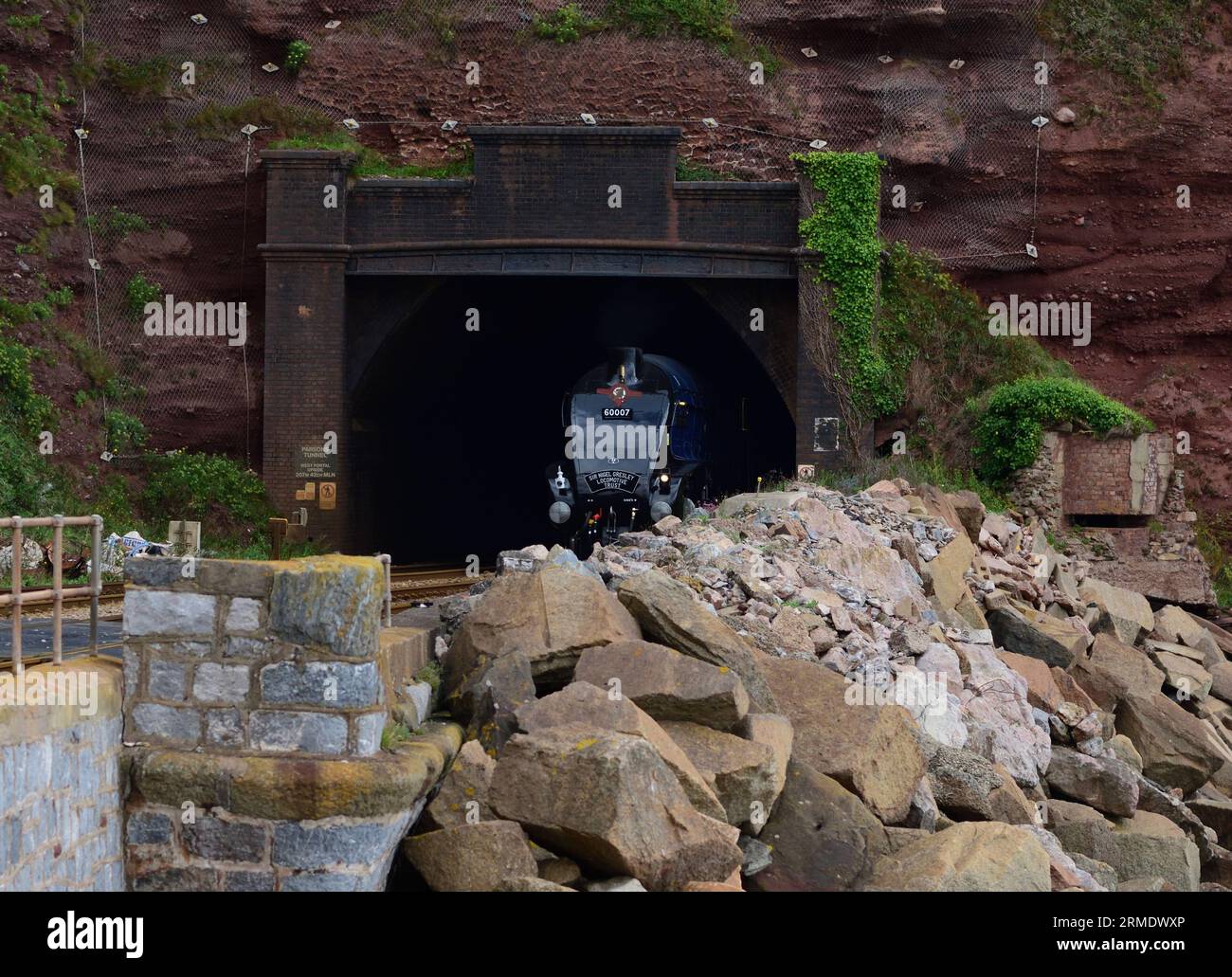 LNER Classe A4 Pacific No 60007 Sir Nigel Gresley emerge dal tunnel di Parsons a Holcombe con l'English Riviera Express diretto a Kingswear. Foto Stock