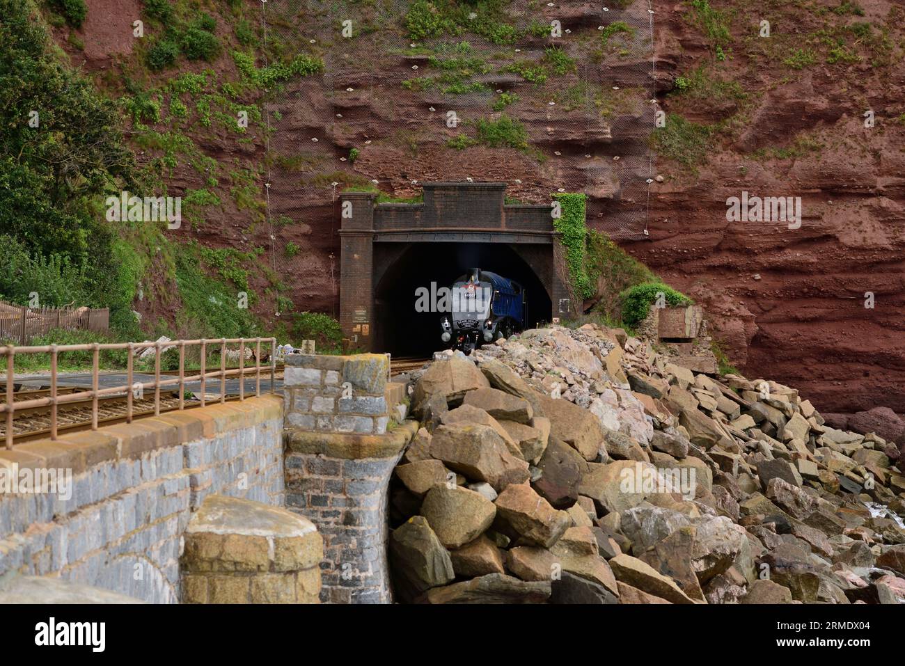 LNER Classe A4 Pacific No 60007 Sir Nigel Gresley emerge dal tunnel di Parsons a Holcombe con l'English Riviera Express diretto a Kingswear. Foto Stock