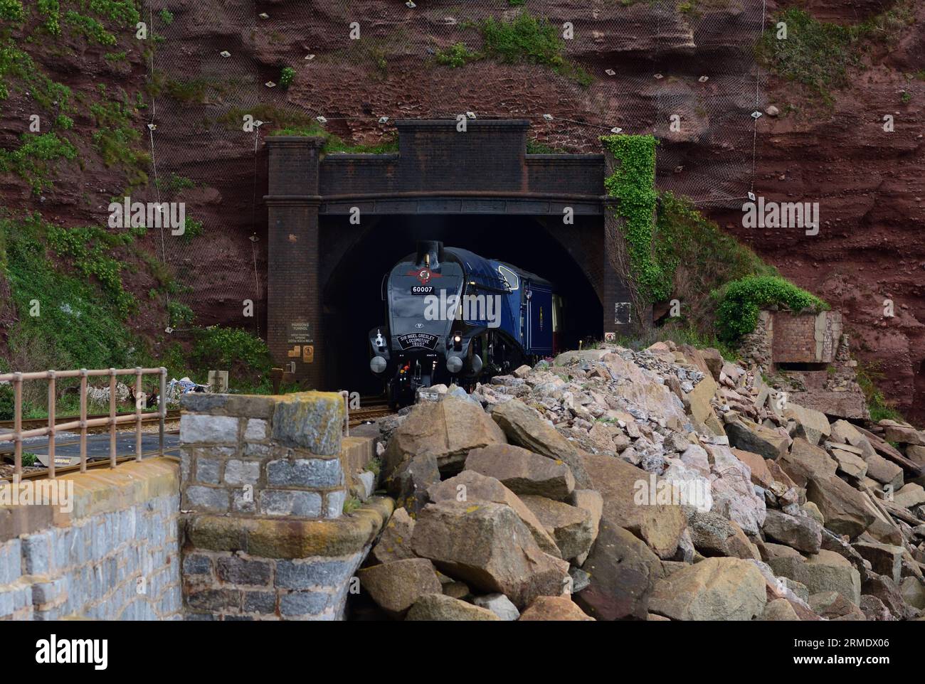 LNER Classe A4 Pacific No 60007 Sir Nigel Gresley emerge dal tunnel di Parsons a Holcombe con l'English Riviera Express diretto a Kingswear. Foto Stock