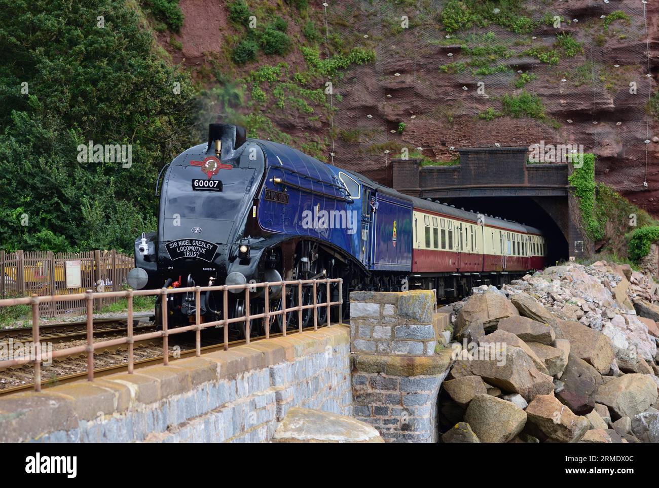 LNER Classe A4 Pacific No 60007 Sir Nigel Gresley emerge dal tunnel di Parsons a Holcombe con l'English Riviera Express diretto a Kingswear. Foto Stock