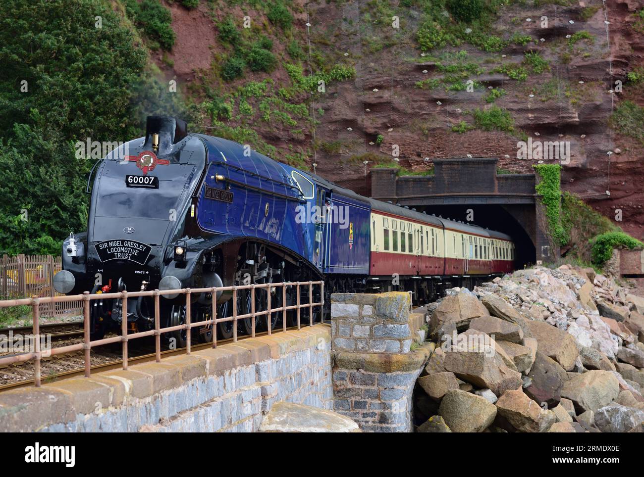 LNER Classe A4 Pacific No 60007 Sir Nigel Gresley emerge dal tunnel di Parsons a Holcombe con l'English Riviera Express diretto a Kingswear. Foto Stock