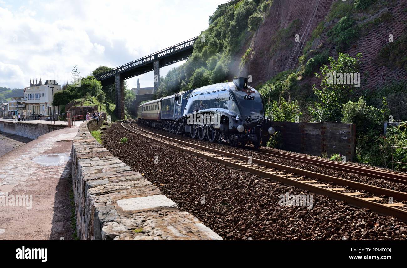 LNER Classe A4 Pacific No 60007 Sir Nigel Gresley che passa attraverso Teignmouth con il tratto di ritorno dell'English Riviera Express. Foto Stock
