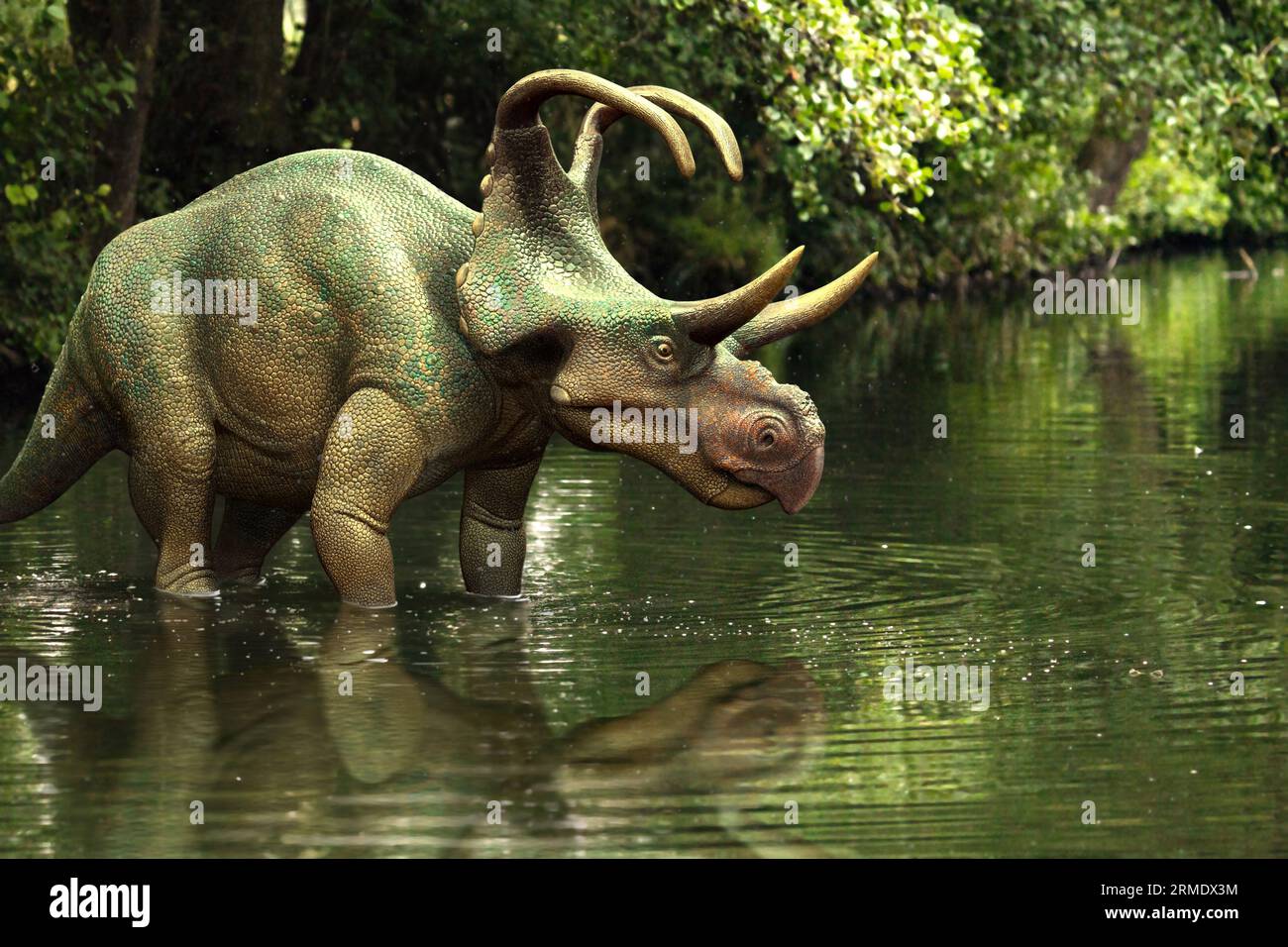 Machairoceratops nel lago Foto Stock