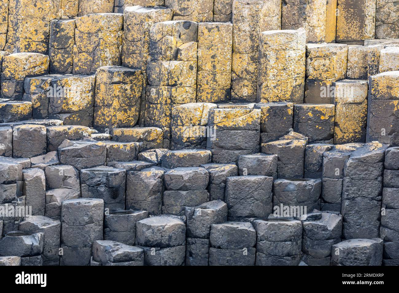 Giant Causeway, Basalt columns, Causeway Coastal Path, County Antrim, Irlanda del Nord, REGNO UNITO Foto Stock