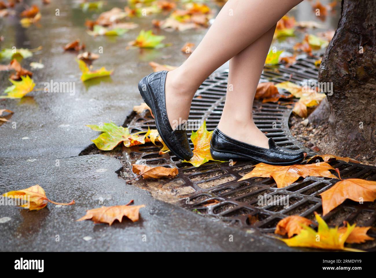 Autunno a Parigi. Bellissime gambe femminili e molte foglie autunnali brillanti Foto Stock