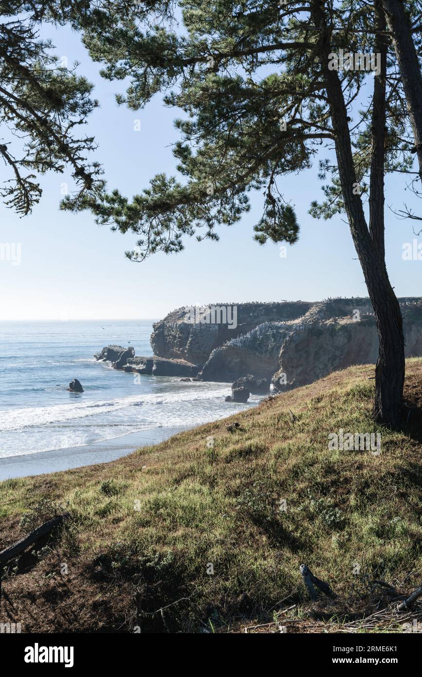 Una vista costiera dell'oceano pacifico in california Foto Stock