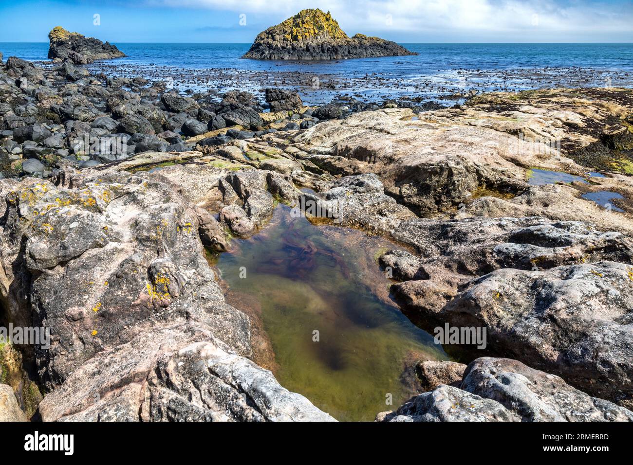 Rock pool, Murlough Bay, Irlanda del Nord, Regno Unito Foto Stock