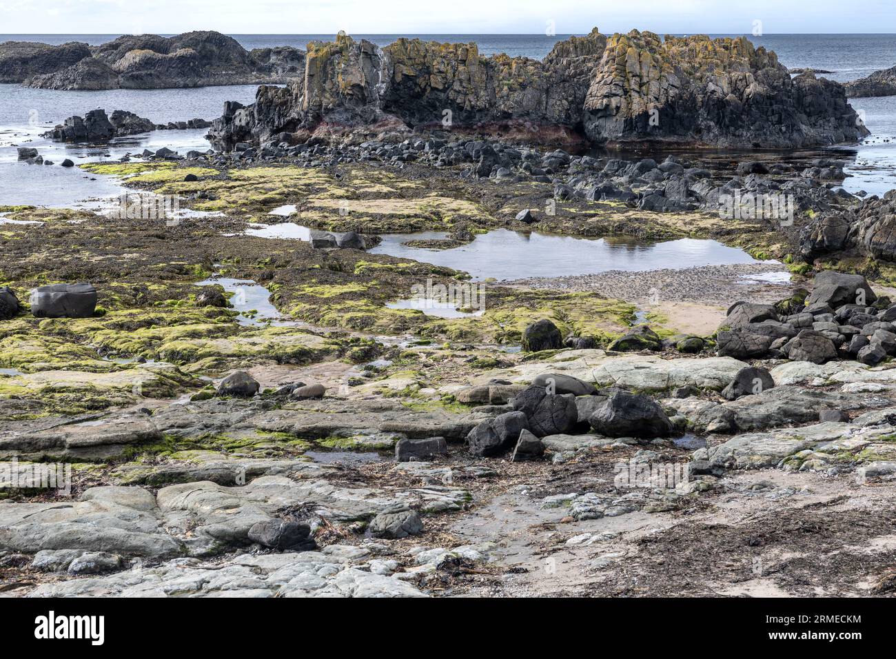 Ballintoy Harbour, Irlanda del Nord, Regno Unito Foto Stock