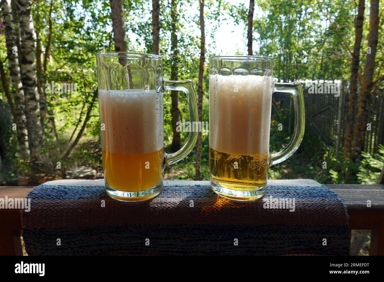 Due grandi bicchieri alti con birra fresca sullo sfondo della natura da vicino Foto Stock