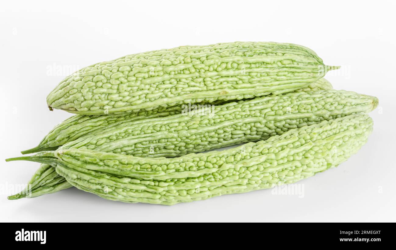 Zucca amara su sfondo bianco. Foto Stock
