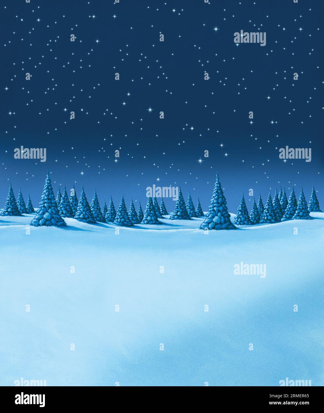 Paesaggio invernale con cielo stellato Foto Stock