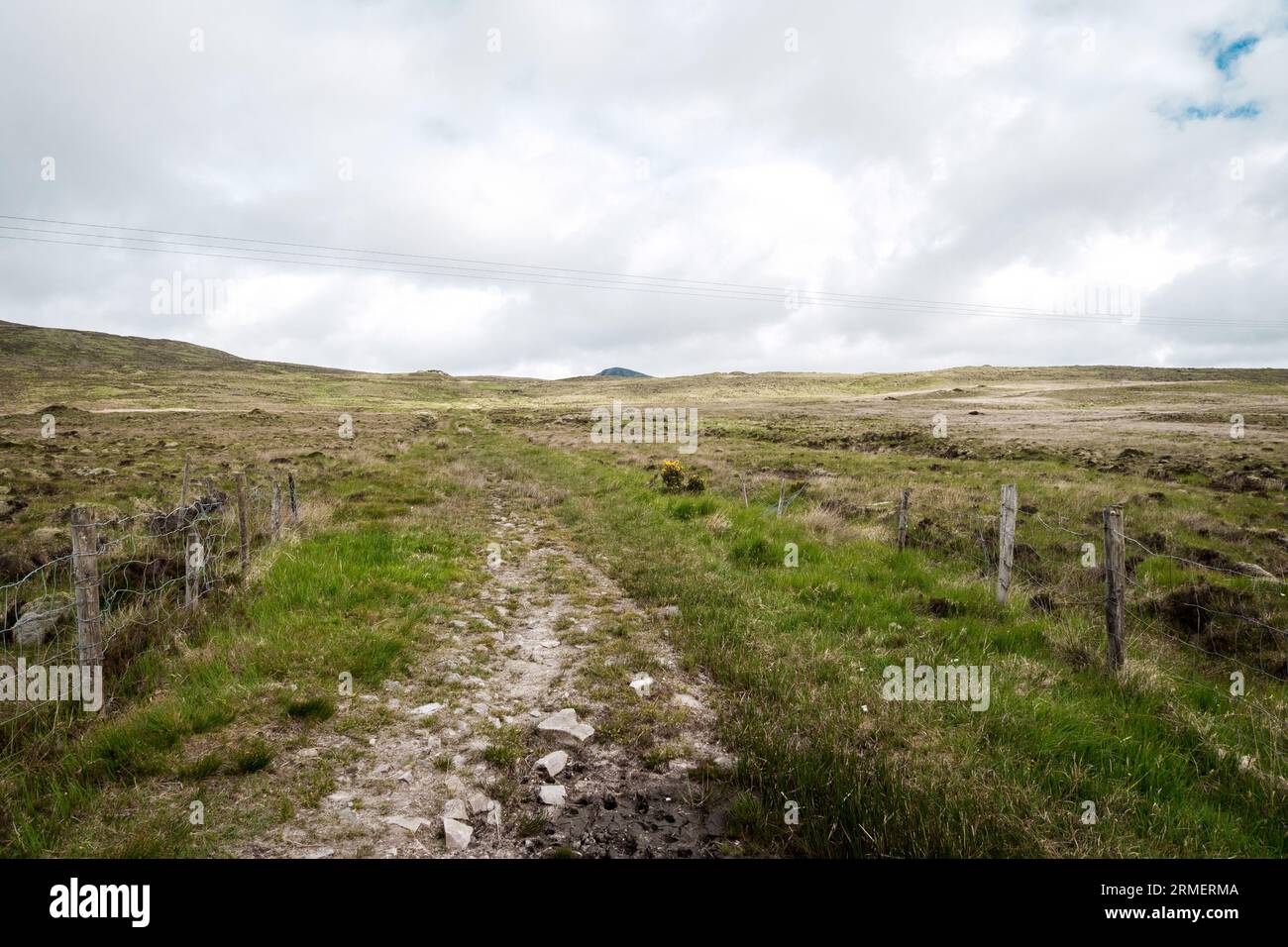 Il Long Lane per le montagne nella contea di Donegal Foto Stock
