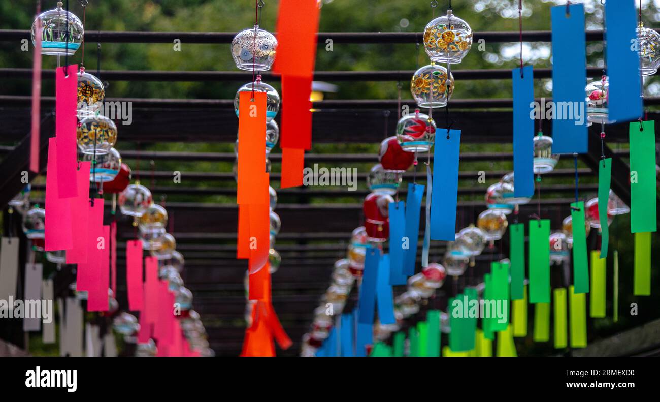 Campanelli del vento giapponesi, vibrazioni estive. Foto Stock