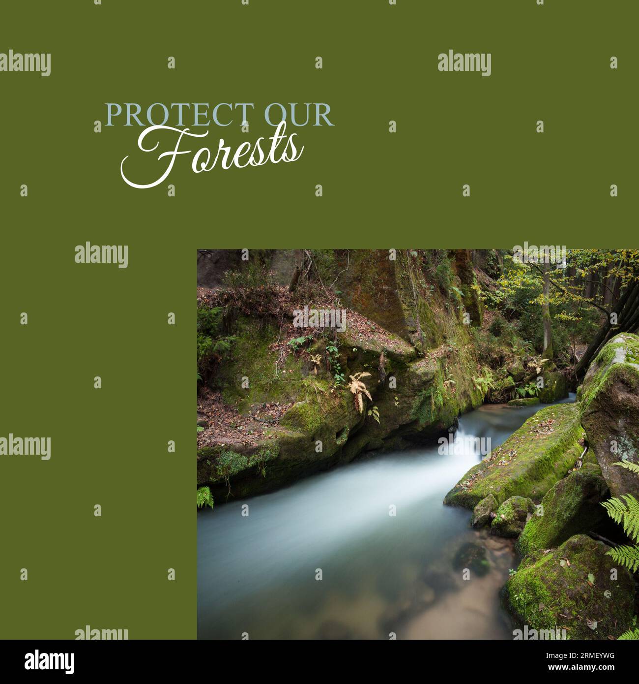 Composito di proteggere il nostro testo foreste e lunga esposizione del fiume che scorre nella foresta Foto Stock
