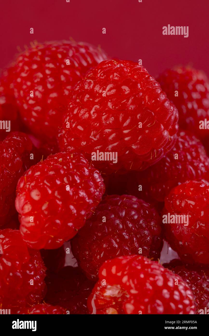 Micro primo piano dei lamponi con spazio per la copia su sfondo rosso Foto Stock