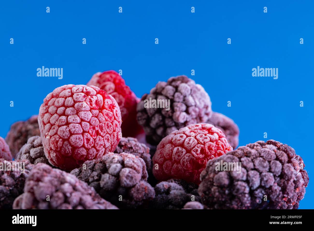 Micro primo piano dei lamponi congelati con spazio per la copia su sfondo blu Foto Stock
