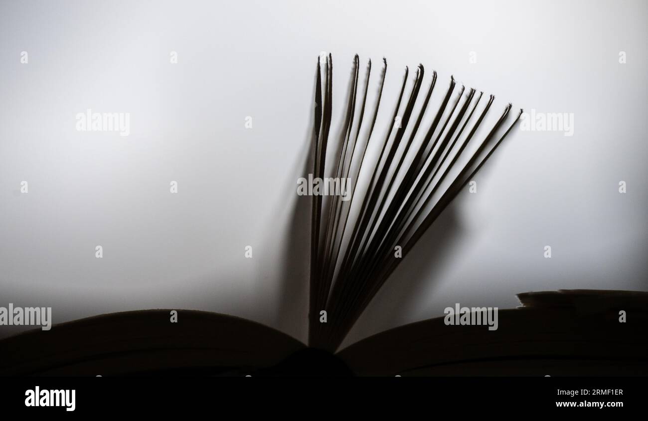 28 agosto 2023, Berlino: Un libro sull'estremismo di destra con pagine strappate si trova nella biblioteca centrale del distretto di Eva Maria Buch Haus. Questo e altri libri furono distrutti nella biblioteca da persone sconosciute nel 2021. In una conferenza stampa del Mobile Counseling Service Against Right-Wing Extremism Berlin, un opuscolo per le biblioteche intitolato "Alles nur leere Worte? Su come affrontare la guerra della cultura da destra in biblioteche è stato presentato. Foto: Sebastian Christoph Gollnow/dpa Foto Stock