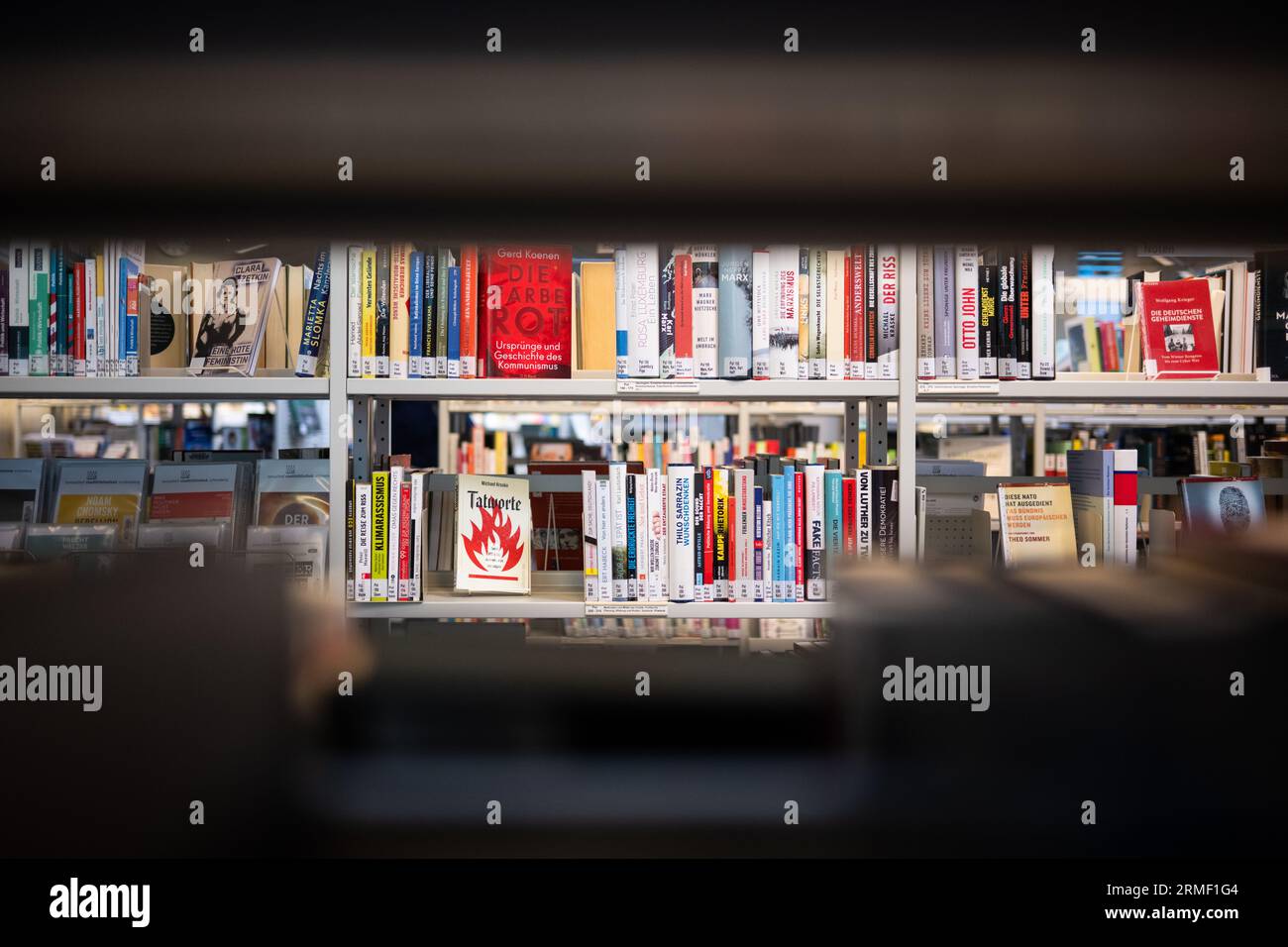 28 agosto 2023, Berlino: I libri sono nella sezione politica non-fiction della Biblioteca centrale Distrettuale nella Eva Maria Buch Haus. Qui, i libri sull'estremismo di destra sono stati danneggiati da persone sconosciute nel 2021. In una conferenza stampa del Mobile Counseling Service Against Right-Wing Extremism Berlin, un opuscolo per le biblioteche intitolato "Alles nur leere Worte? Su come affrontare la guerra della cultura da destra in biblioteche è stato presentato. Foto: Sebastian Christoph Gollnow/dpa Foto Stock