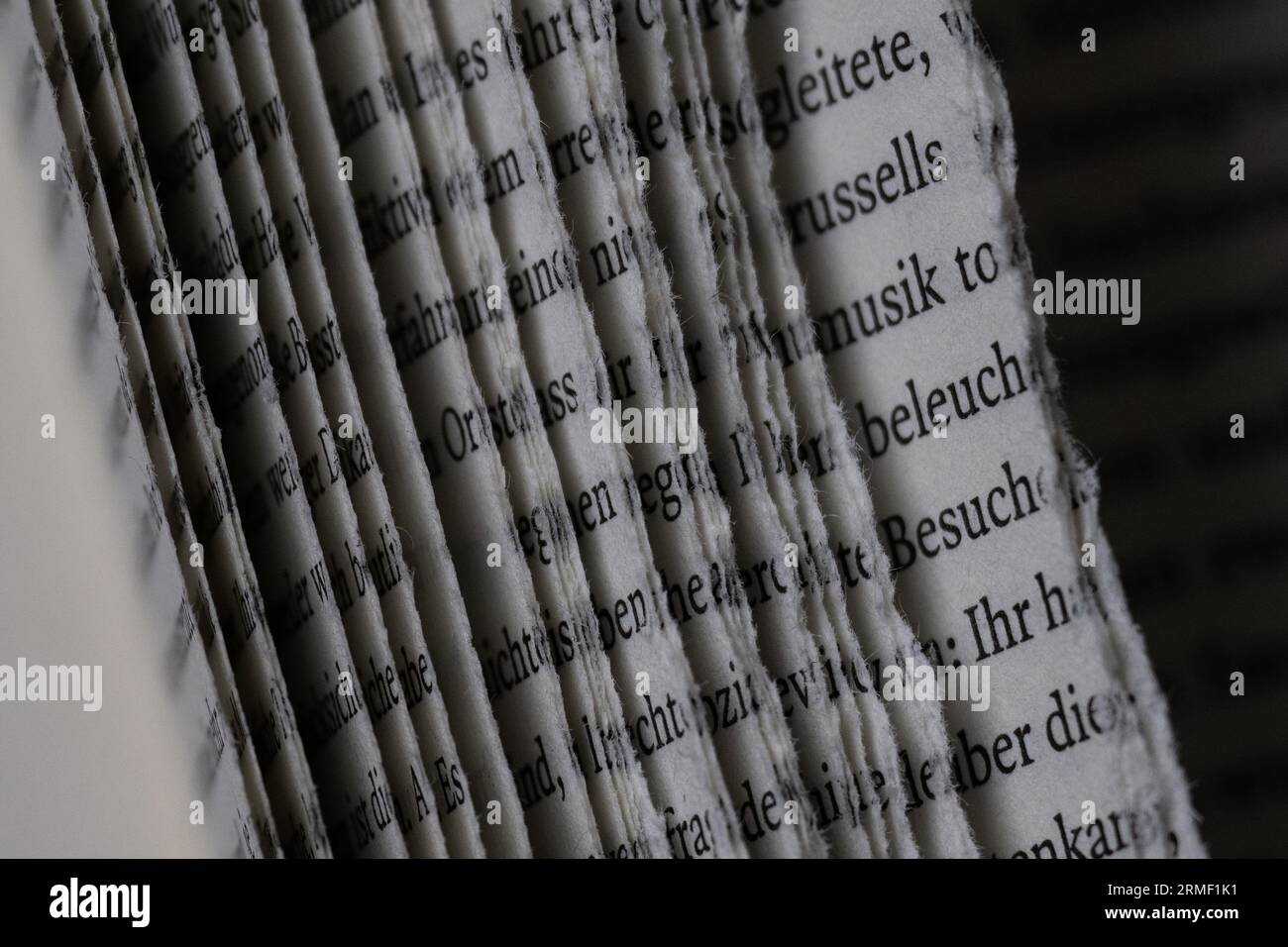 28 agosto 2023, Berlino: Un libro sull'estremismo di destra con pagine strappate si trova nella biblioteca centrale del distretto di Eva Maria Buch Haus. Questo e altri libri furono distrutti nella biblioteca da persone sconosciute nel 2021. In una conferenza stampa del Mobile Counseling Service Against Right-Wing Extremism Berlin, un opuscolo per le biblioteche intitolato "Alles nur leere Worte? Su come affrontare la guerra della cultura da destra in biblioteche è stato presentato. Foto: Sebastian Christoph Gollnow/dpa Foto Stock