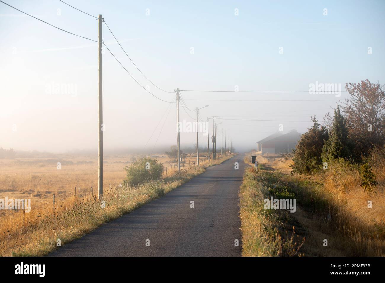 Vista della linea elettrica lungo la strada di campagna nelle giornate nebbiose Foto Stock
